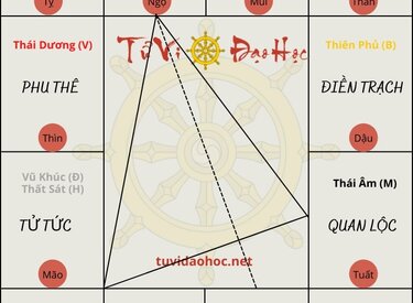 Tài Năng Siêu Phàm Của Sao Thiên Tài