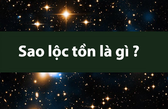 Top 9 sao lộc tồn mới nhất năm 2023 - EU-Vietnam Business Network (EVBN)