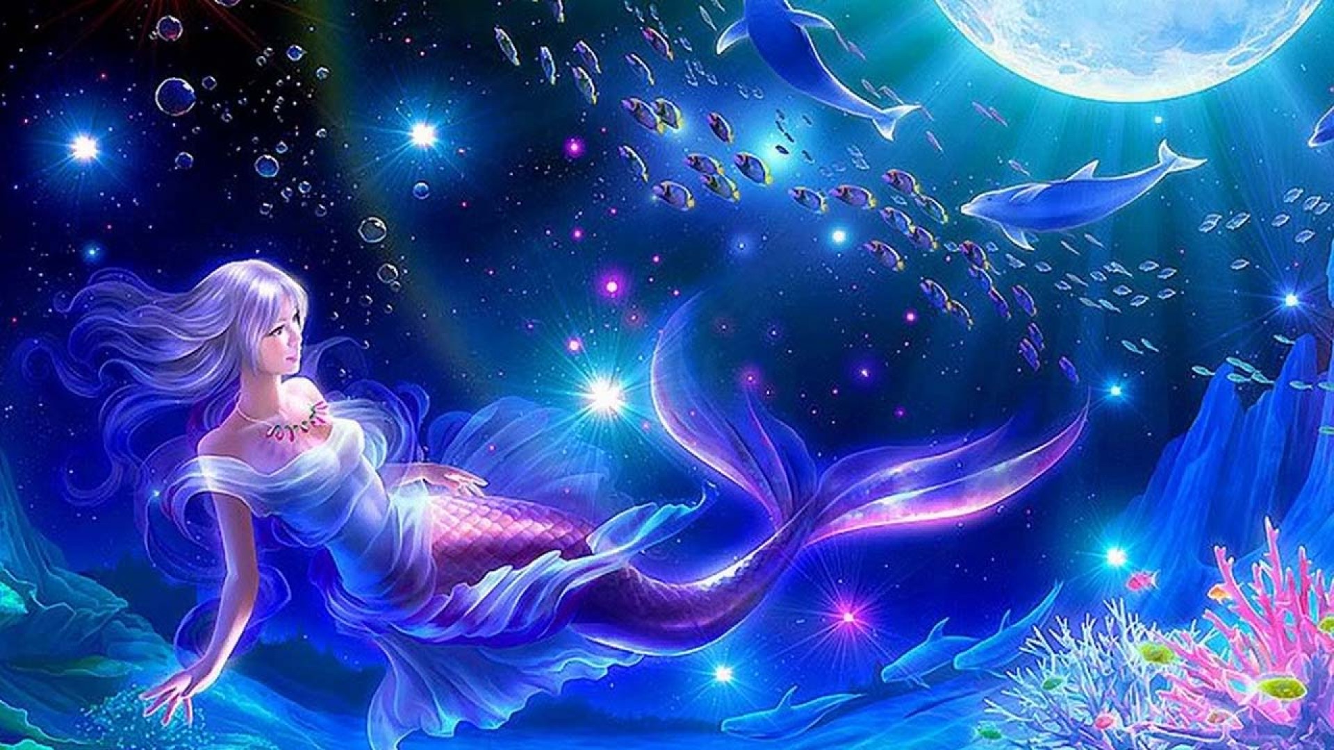 Mật mã 12 chòm sao: bộ từ vựng tiếng Anh về tính cách cung Song Ngư