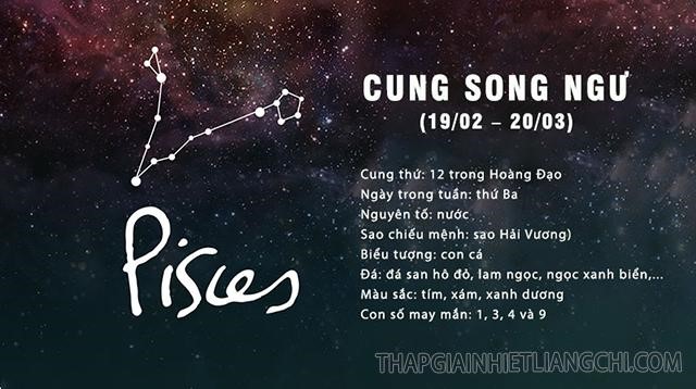Song Ngư hợp với cung nào? Cung hợp Song Ngư nhất trong tình yêu