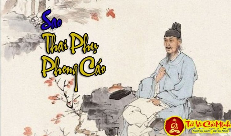 Luận Giải Ý Nghĩa Sao Thai Phụ, Phong Cáo Tại Mệnh Và Cung Khác Năm 2024
